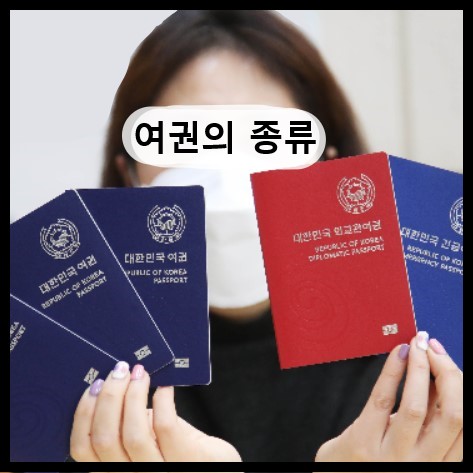 여권의 종류